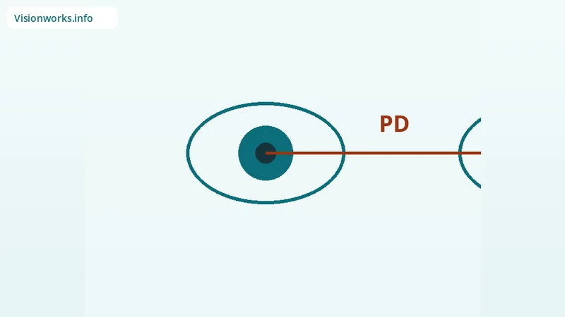 Diagram of pupillary distance measured between pupil centers